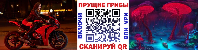 хочу   Николаевск  hydra зеркало  Псилоцибиновые грибы Psilocybine cubensis 